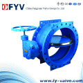 Electric Double Flanged Eccentric Butterfly Valve